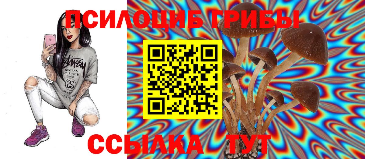 Галлюциногенные грибы Psilocybine cubensis Нефтекамск